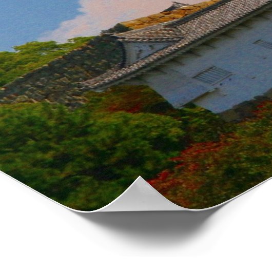 himeji castle poster (Hoek)