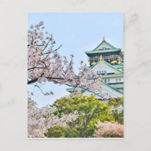 Himeji kasteel met kersenbloesems briefkaart