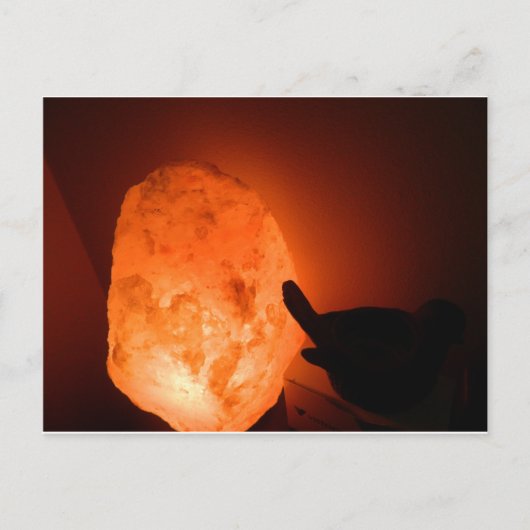 Himilayan Salt Lamp met vogel Briefkaart (Voorkant)