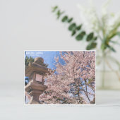 Himuro Shrine (Yoshino Cherry) ポストカード Briefkaart (Staand voorkant)