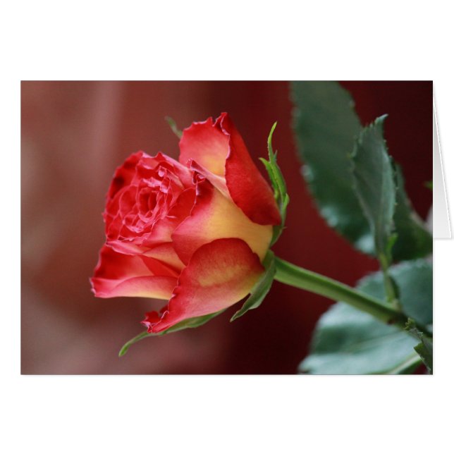 Hindi - Ik hou van je (Voorkant Horizontaal)