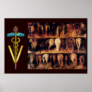 Hindkwartier van paarden / VETERINAIR SYMBOOL VAN Poster