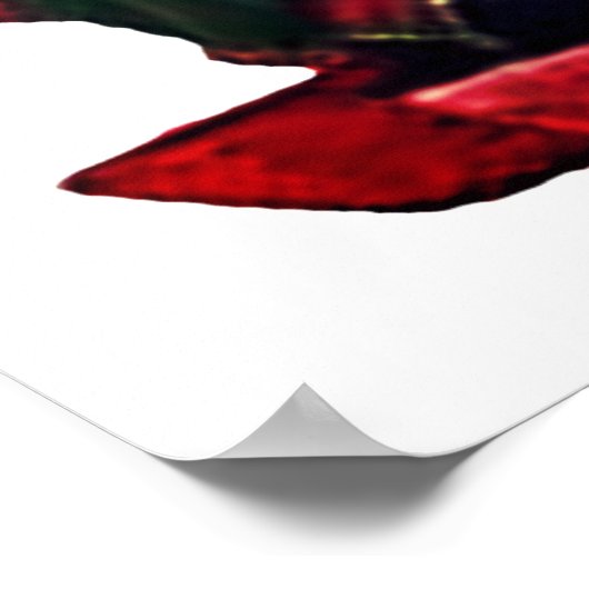 Hindoe God Ganesh Poster (Hoek)