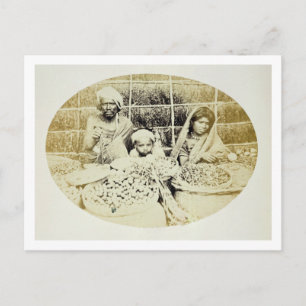 Hindu Vegetable and Fruit Sellers in Madras, 19e Briefkaart
