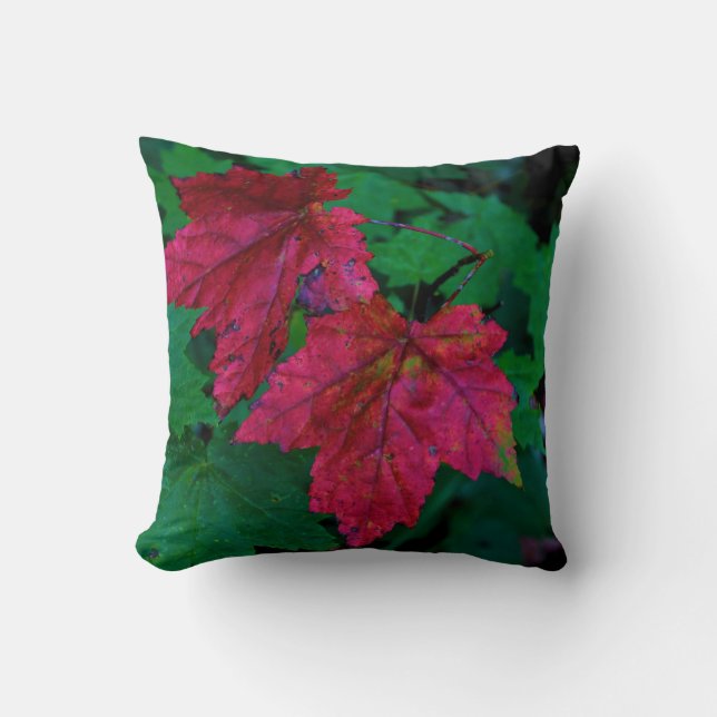 Hint van de herfst kussen (Voorkant)