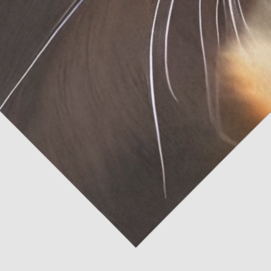 Hint van de paarse calicakat, Fantasy Tissuepapier (Detail)