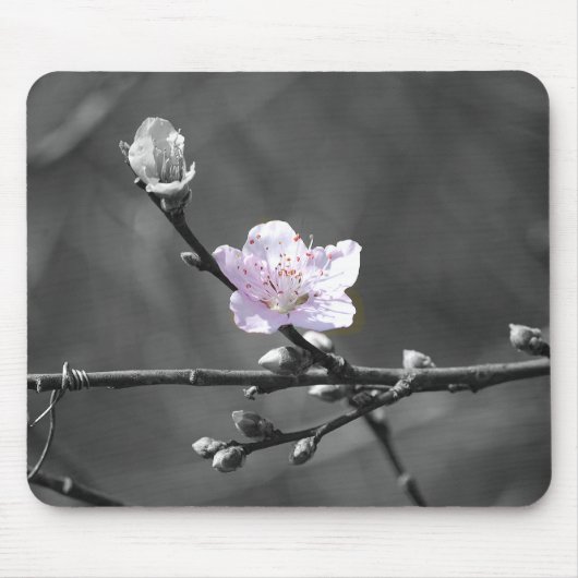 Hint van Roze Cherry Blossom Muismat (Voorkant)