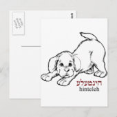 "Hinteleh"-puppy Briefkaart (Voorkant / Achterkant)