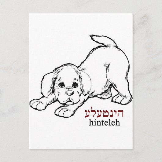 "Hinteleh"-puppy Briefkaart (Voorkant)