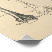  Hip Botten Anatomie 1880 Afdrukken Poster (Hoek)