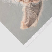 Hip Chick Llama Decoupage Tissuepapier (Detail)