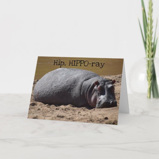 Hip Hip Hooray Hippo Birthday Kaart (Voorkant)