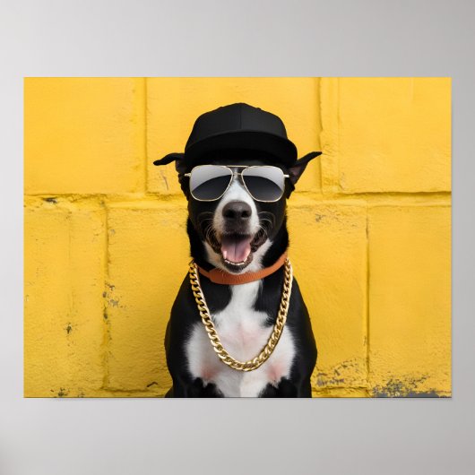 Hiphop Dog Star in trendy Pet en ketting Poster (Voorkant)
