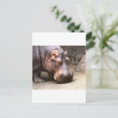 Hipo Briefkaart (Staand voorkant)