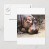 Hipo Briefkaart (Voorkant / Achterkant)