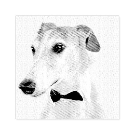 hippe rubberstempel (Afrduk)