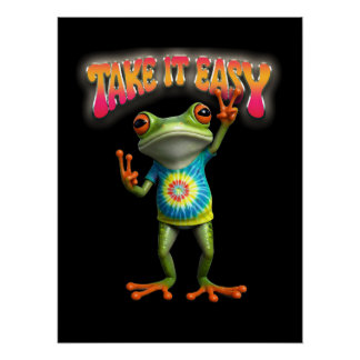 Hippie Kikker Neem het Leven Licht Kleurrijk  Perfect Poster