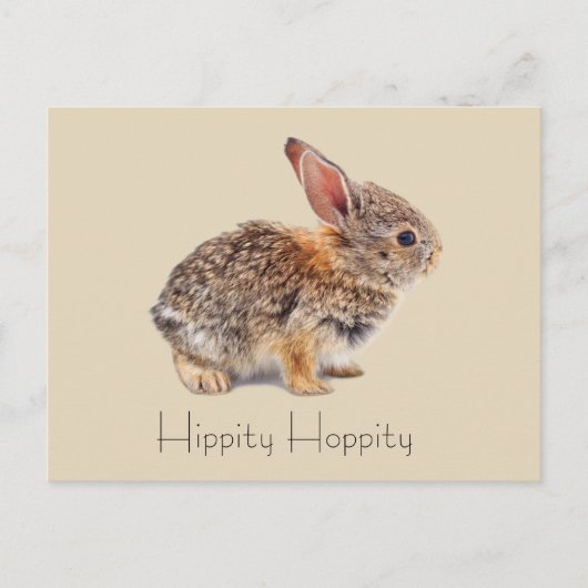 Hippity Hoppity Cottontail Rabbit Briefkaart (Voorkant)