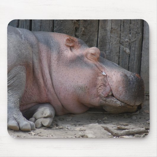 hippo2-4 muismat (Voorkant)