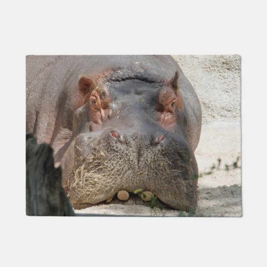 Hippo_20171101_by_JAMFoto Deurmat (Voorkant)