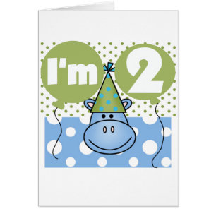 Hippo 2e verjaardag Tshirts en geschenken