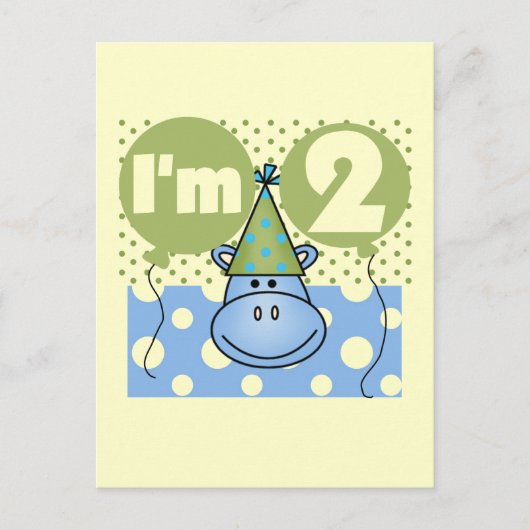 Hippo 2e verjaardag Tshirts en geschenken Briefkaart (Voorkant)