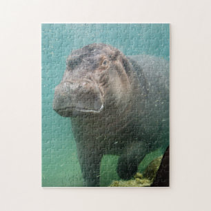 hippo-4 legpuzzel
