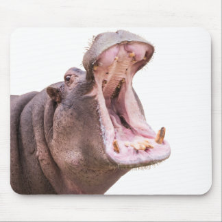 Hippo Big Mouth Muismat