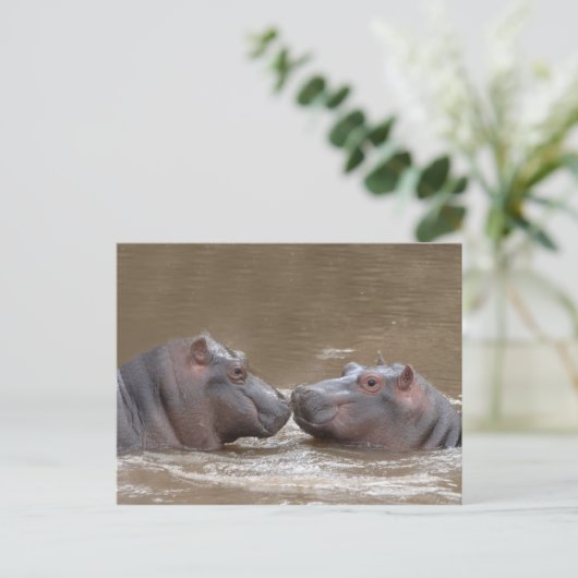 Hippo Briefkaart (Staand voorkant)