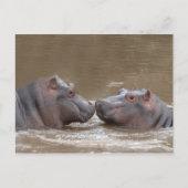 Hippo Briefkaart (Voorkant)