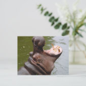 Hippo Briefkaart (Staand voorkant)