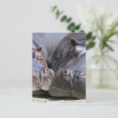 Hippo Briefkaart (Staand voorkant)