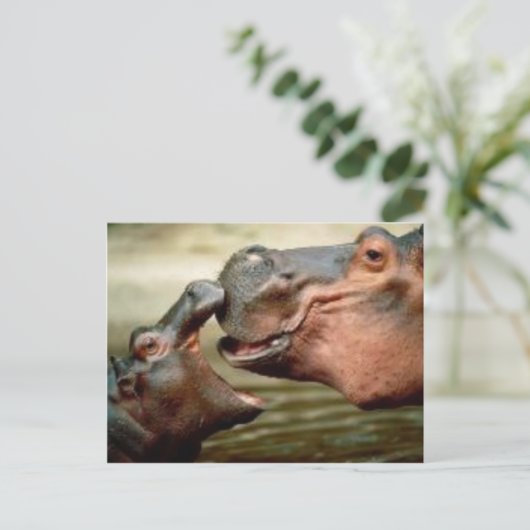 HIPPO BRIEFKAART (Staand voorkant)