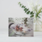 Hippo Briefkaart (Staand voorkant)
