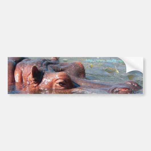 Hippo Bumpersticker (Voorkant)