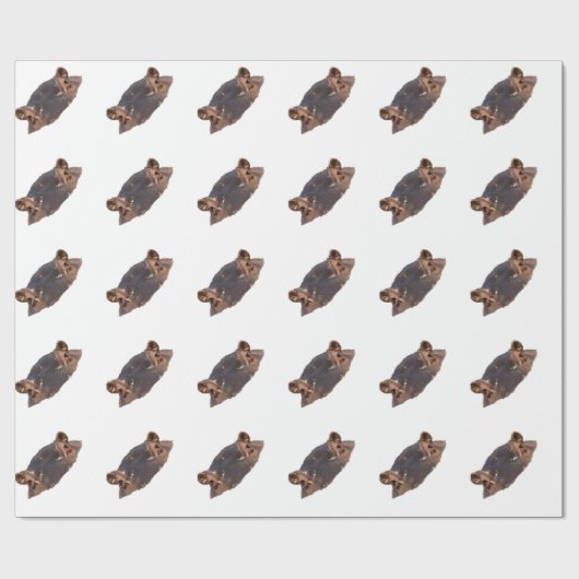 Hippo Cadeaupapier (Vlak)