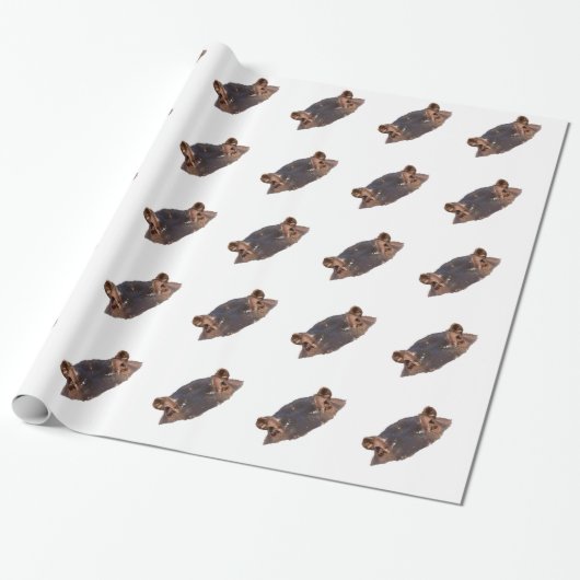 Hippo Cadeaupapier (Uitgerold)
