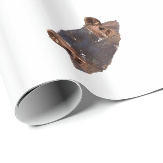 Hippo Cadeaupapier (Rol Hoek)