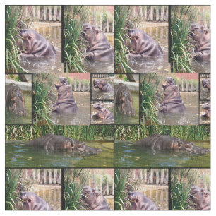 Hippo Determination Photo Collage Stof
