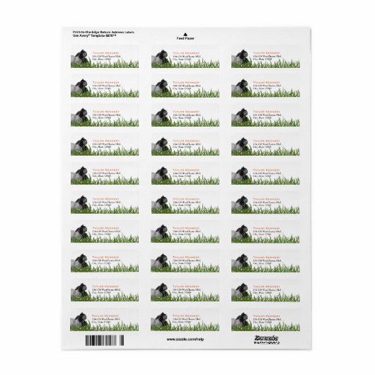 Hippo en Gorilla in het gras Etiket (Full Sheet)