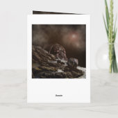 Hippo Enchanted Evening, Jubileum Kaart (Achterkant)