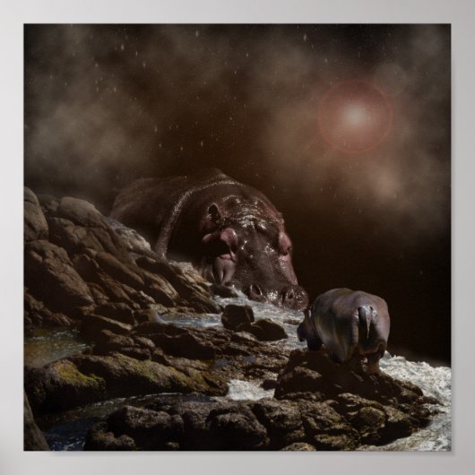 Hippo Enchanting Evening Poster (Voorkant)