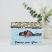 hippo-groeten briefkaart (Staand voorkant)