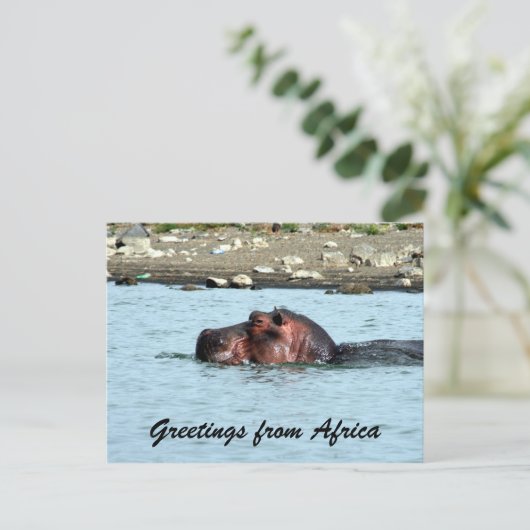 hippo-groeten briefkaart (Staand voorkant)