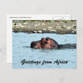hippo-groeten briefkaart (Voorkant / Achterkant)