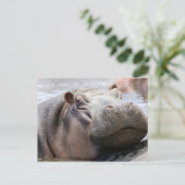 Hippo Head Briefkaart (Staand voorkant)