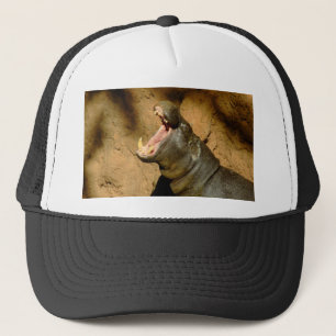 hippo hongerig trucker pet