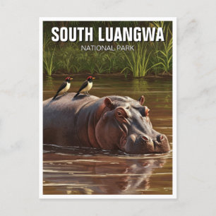 Hippo in Zuid-Luangwa Nationaal Park Zambia Briefkaart