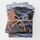 hippo inpakpapier vel (In situ)