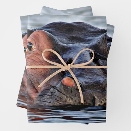 hippo inpakpapier vel (In situ)